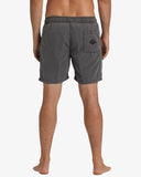 All Day Overdye Layback Boardshorts
