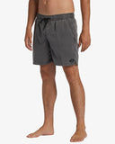 All Day Overdye Layback Boardshorts