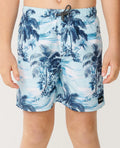Rip Curl Dreamers Volley Boardshorts Boys (8-16 years)