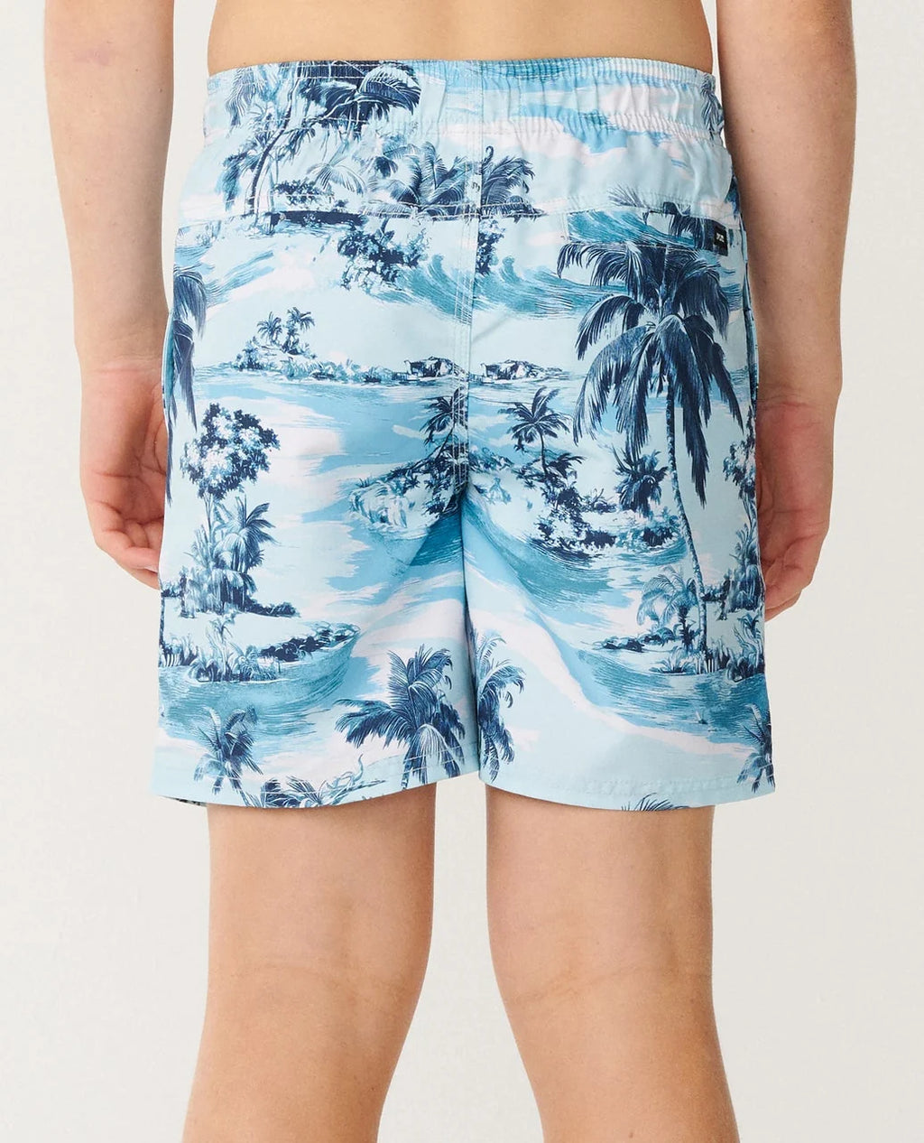 Rip Curl Dreamers Volley Boardshorts Boys (8-16 years)