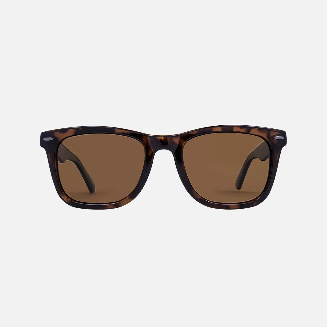 Carve Wow Vision Polarized Gloss Tort