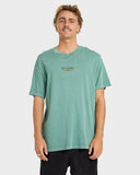 Billabong Pure Intentions Wave Washed Premium T-Shirt