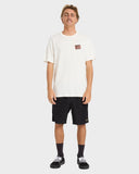 Billabong Crayon Wave Premium T-Shirt