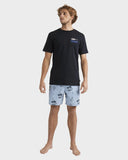 Quiksilver Horizon Haze Swim Shorts