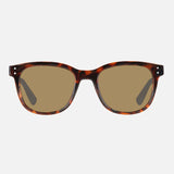Carve Homeland Gloss Tort Frame Brown Polarized Lens