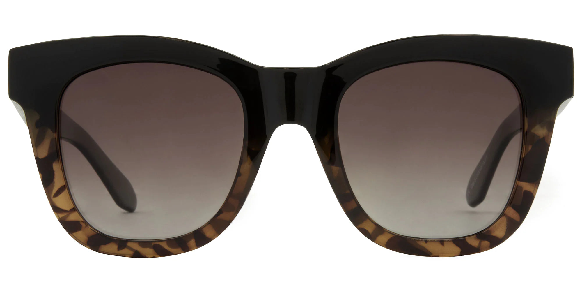 Carve Elba Black/Milky Tort Gradient Brown Polarized Lens