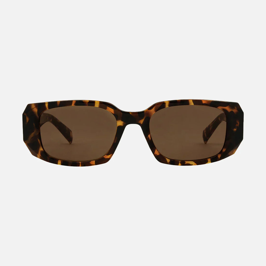 Carve Milan Gloss Tort Brown Lens