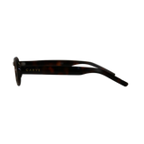 Carve ESME  Gloss Tort Brown Lens