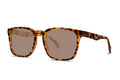 Liive Vision Ahoy  Polarised Gold Tort