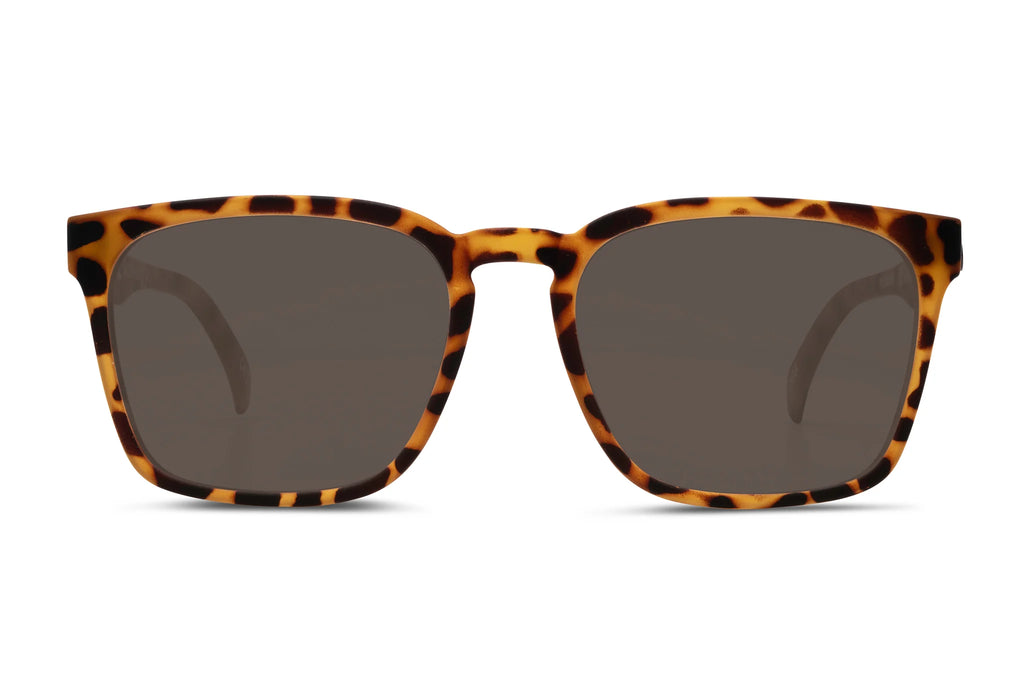 Liive Vision Ahoy  Polarised Gold Tort