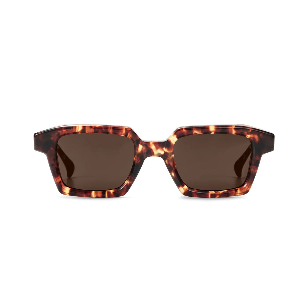 AM Eyewear Charlie Tort