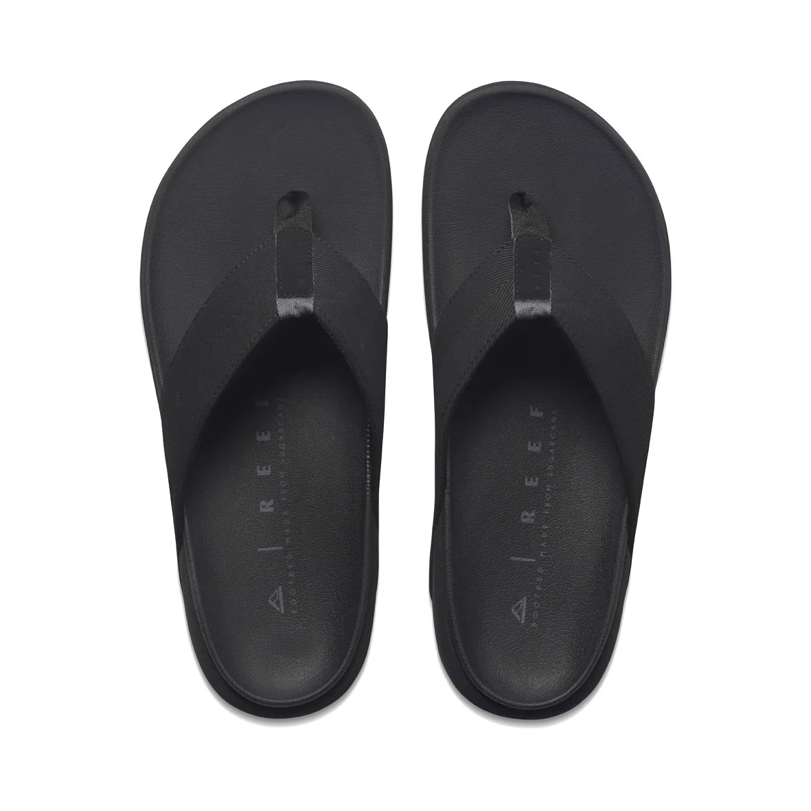 Reef Raglan Black/Gum