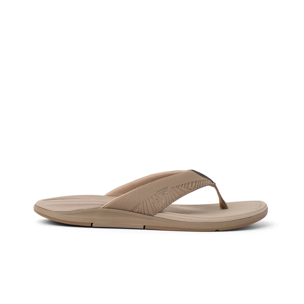 Reef Offshore Fossil / Tan