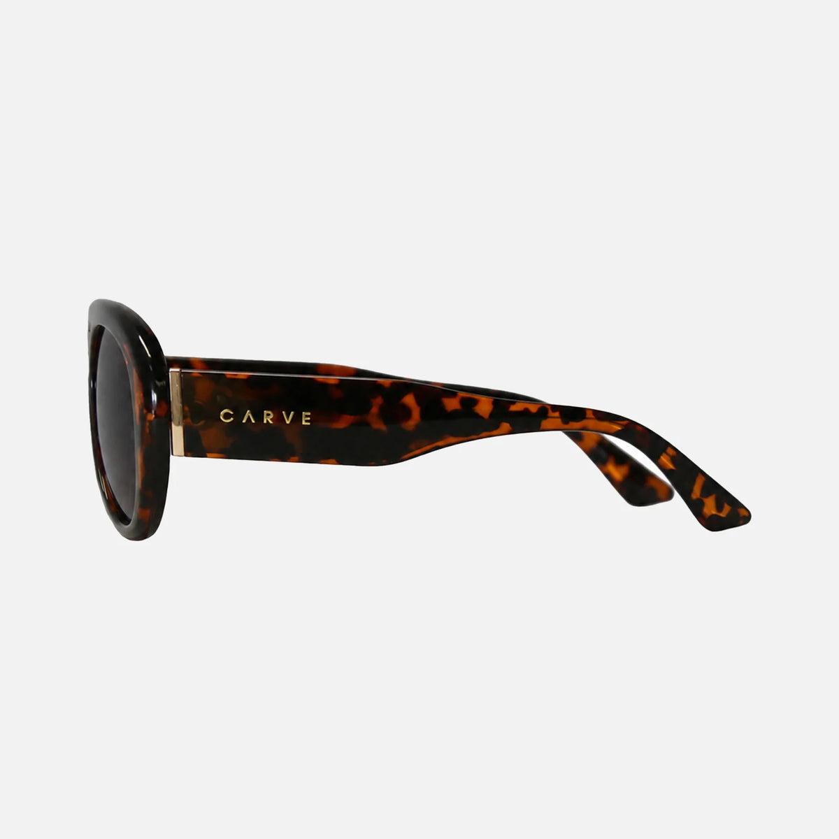 Carve Paloma Gloss Tort Frame With Brown Lens