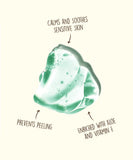 Sun Bum Cool Down Hydrating After Sun Gel