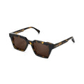 AM Eyewear Todd Gents Tort