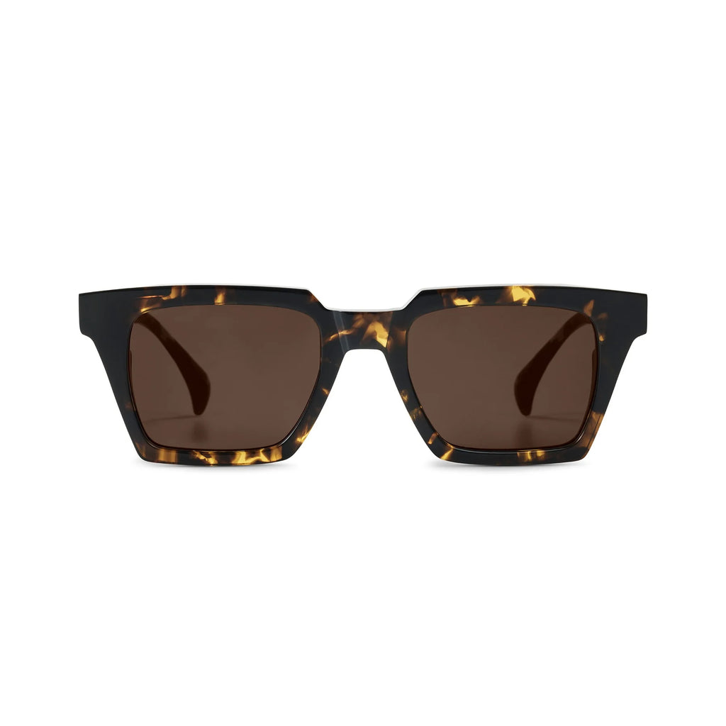 AM Eyewear Todd Gents Tort
