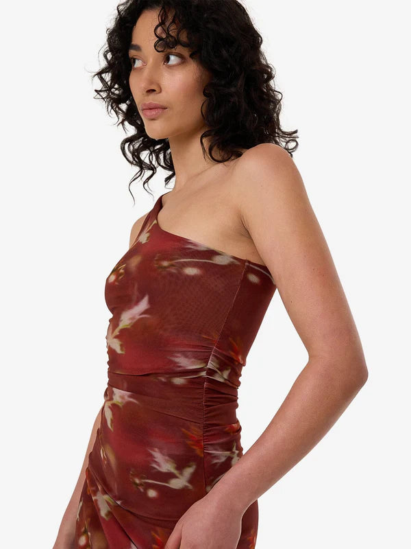 Thrills Rhapsody Floral Mini Dress Cabernet