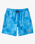 D Bah Layback Boardshorts Boys  8-16 yrs