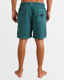 All Day Overdye Layback Boardshorts