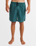 All Day Overdye Layback Boardshorts