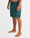 All Day Overdye Layback Boardshorts