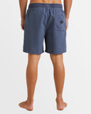 All Day Overdye Layback Boardshorts