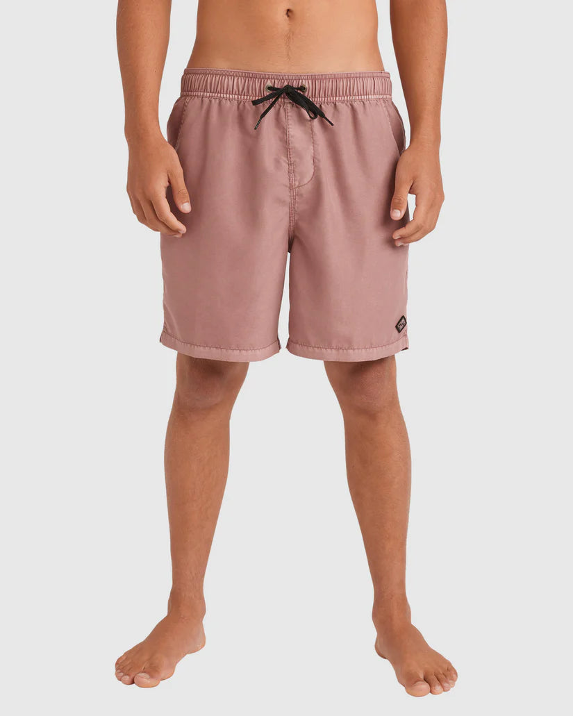 Billabong All Day Overdye Layback Boardshorts