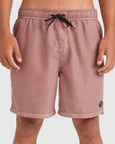 Billabong All Day Overdye Layback Boardshorts