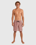 Billabong All Day Overdye Layback Boardshorts