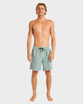 Billabong All Day Overdye Layback Boardshorts
