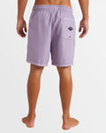 All Day Overdye Layback Boardshorts