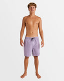 All Day Overdye Layback Boardshorts