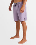 All Day Overdye Layback Boardshorts