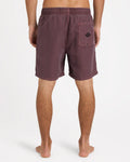 Billabong All Day Overdye Layback Boardshorts