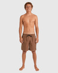 Billabong All Day Overdye Layback Boardshorts