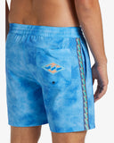 D Bah Layback Boardshorts