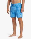 D Bah Layback Boardshorts