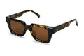 AM Eyewear Ming Gents Tort