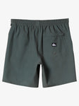 Taxer 18" Amphibian Board Shorts