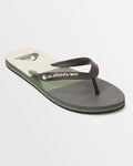 Molokai Stripe Beach Flip-Flops