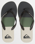 Molokai Stripe Beach Flip-Flops