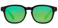 Carve Havana Jr Iridium Gloss Black Frame Sunglasses