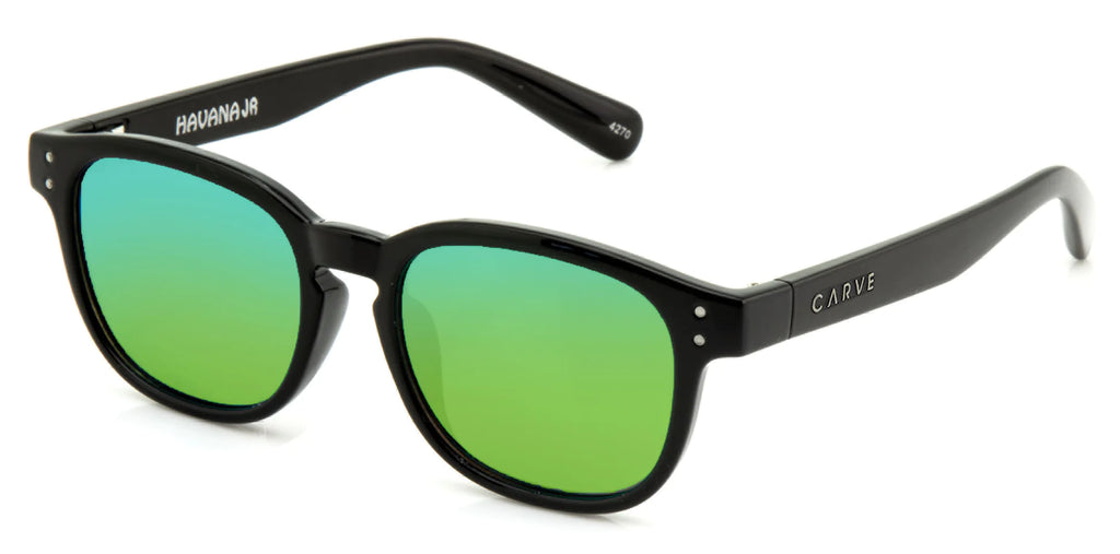 Carve Havana Jr Iridium Gloss Black Frame Sunglasses