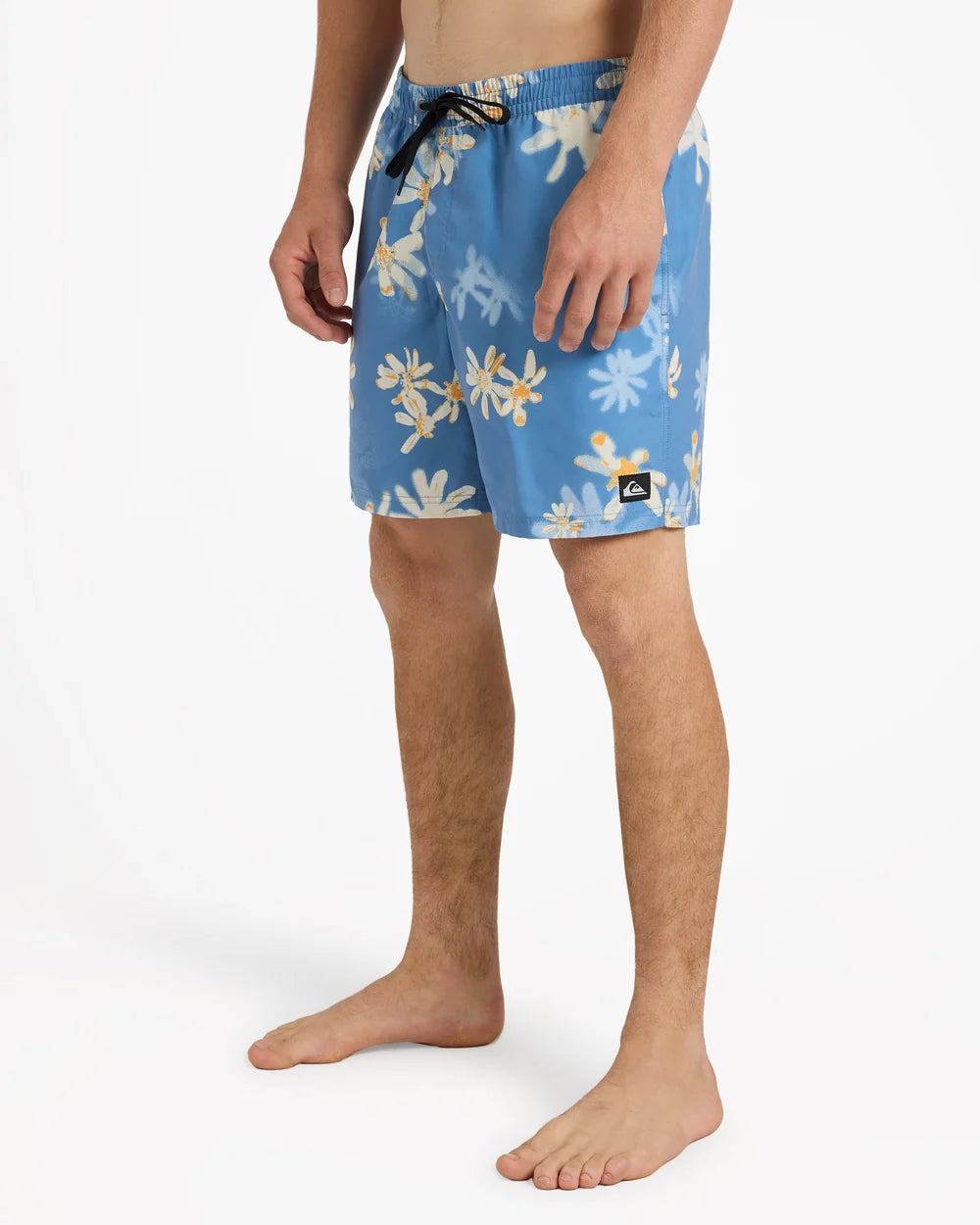 Quiksilver Everyday Printed 17" Volley Shorts