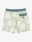 Surfsilk QS 69 19" Boardshorts