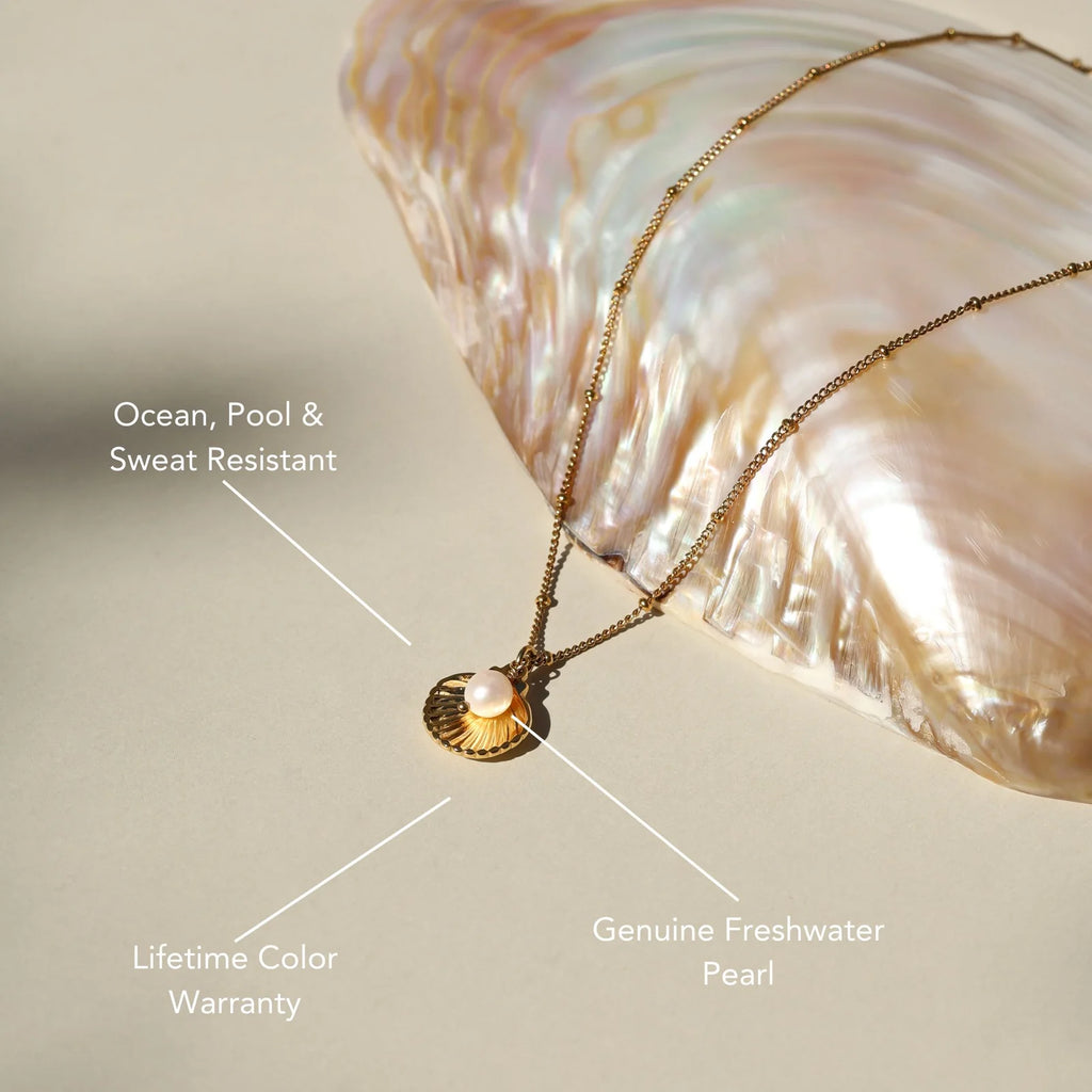 Atolea Seashell Necklace