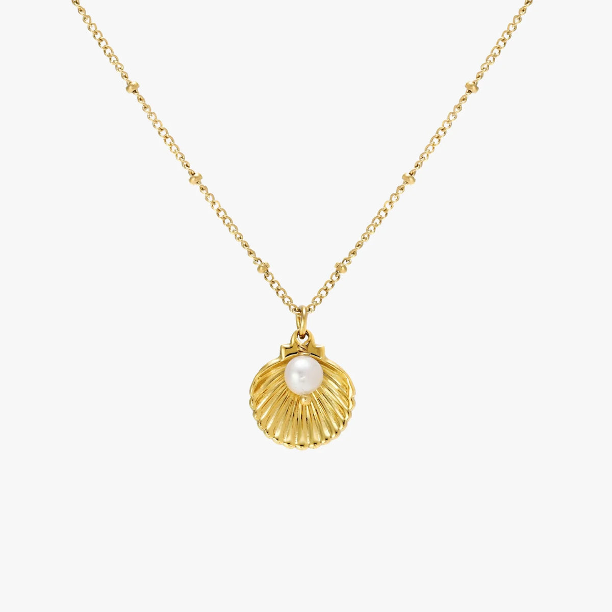 Atolea Seashell Necklace