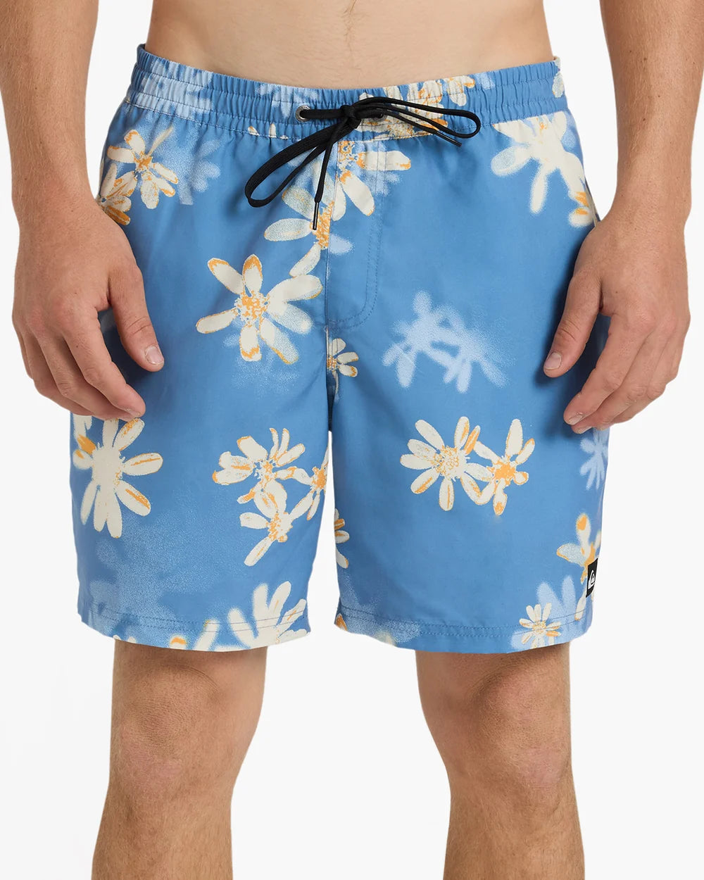 Quiksilver Everyday Printed 17" Volley Shorts