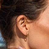 Twisted Hoops Earrings